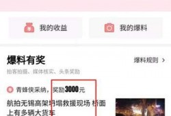 什么爆料有奖励的视频,视频爆料背后的丰厚回报