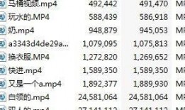 最新爆料抖音成都聚会,揭秘网红聚集地的狂欢之夜