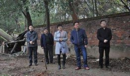 河北唐县新爆料最新消息,揭秘神秘事件背后的真相